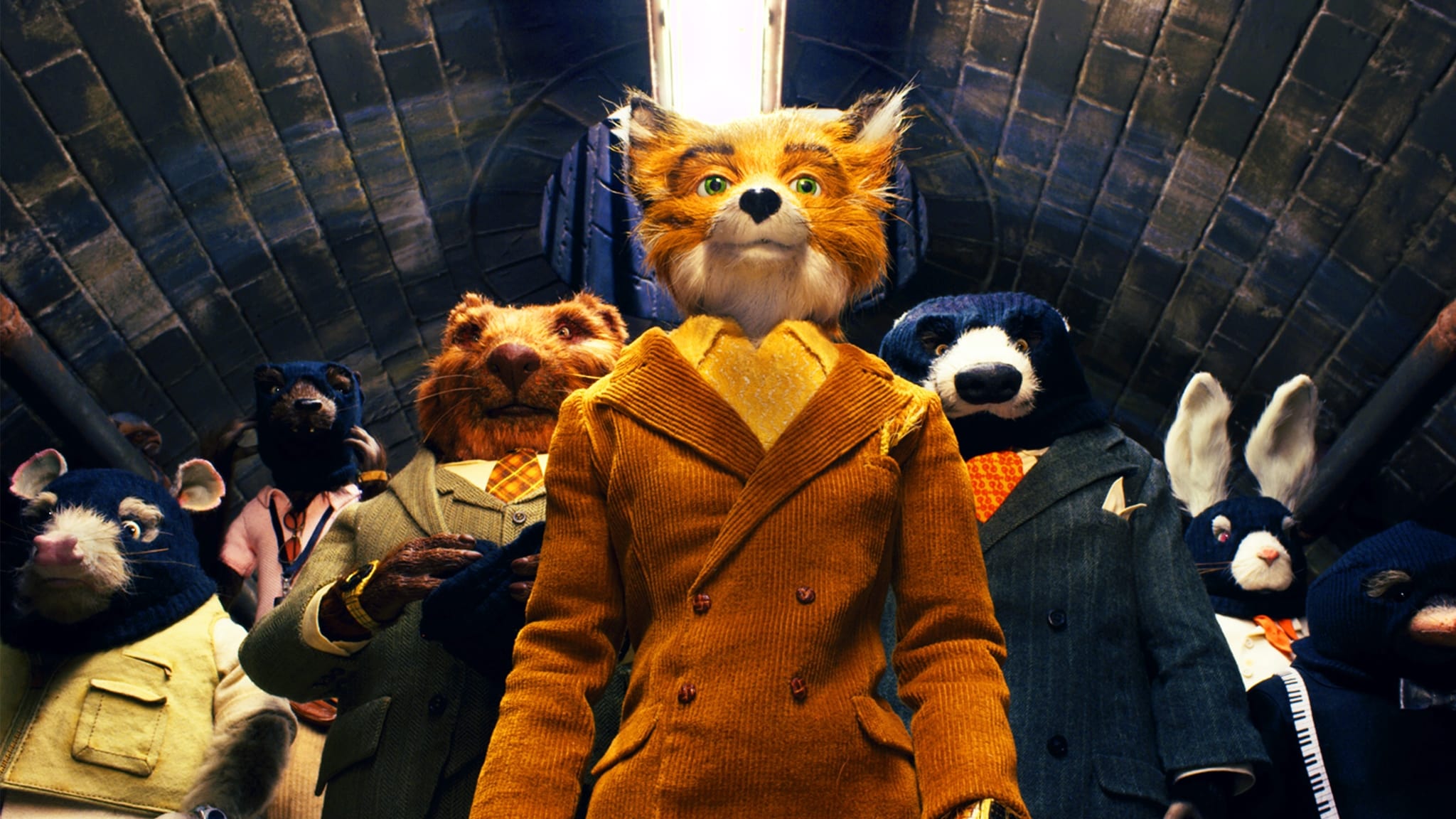 Fantastic Mr. Fox 0