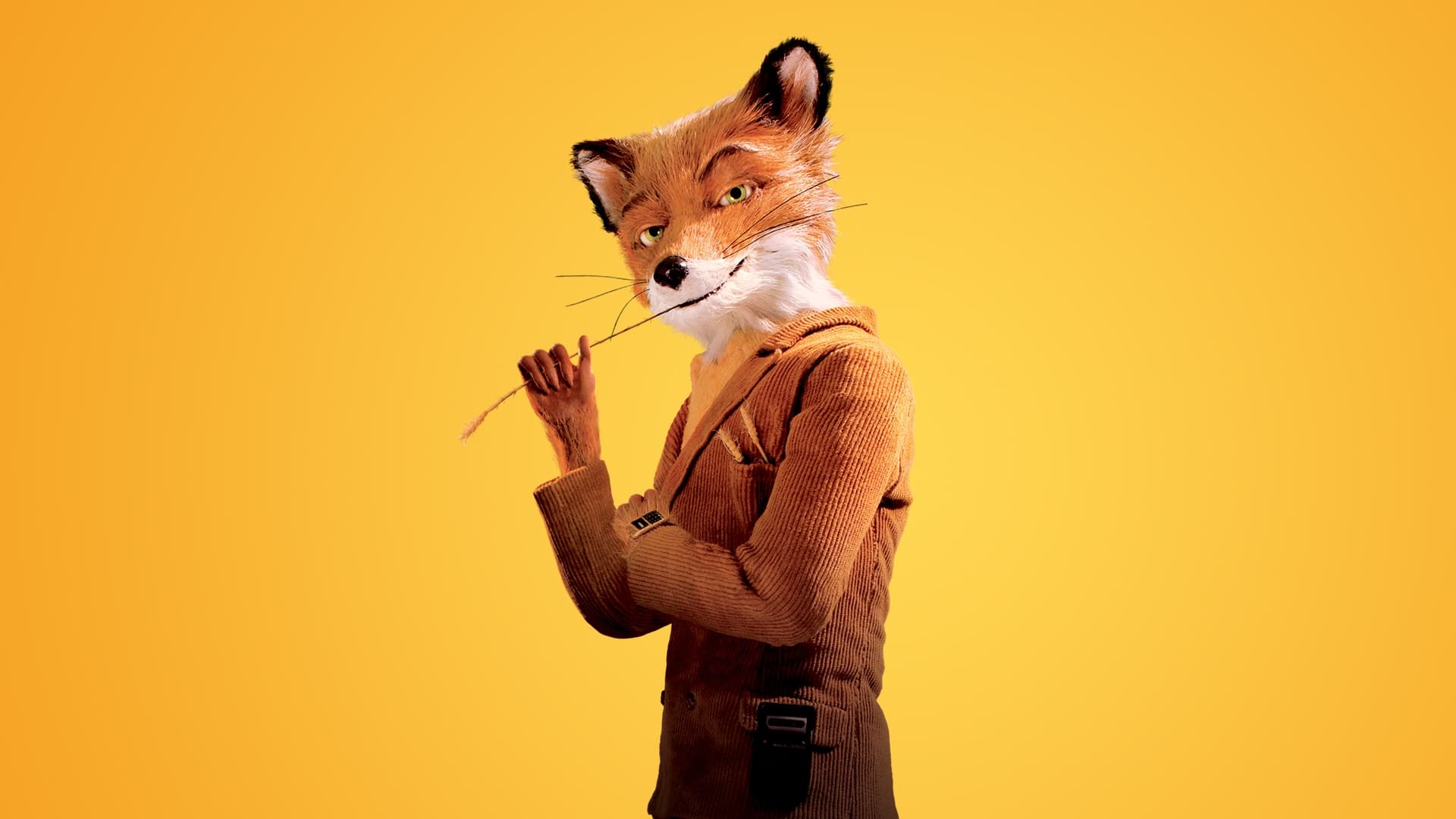 Fantastic Mr. Fox 4