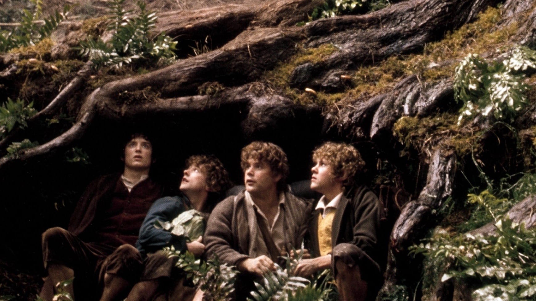 The Lord of the Rings: The Fellowship of the Ring 3