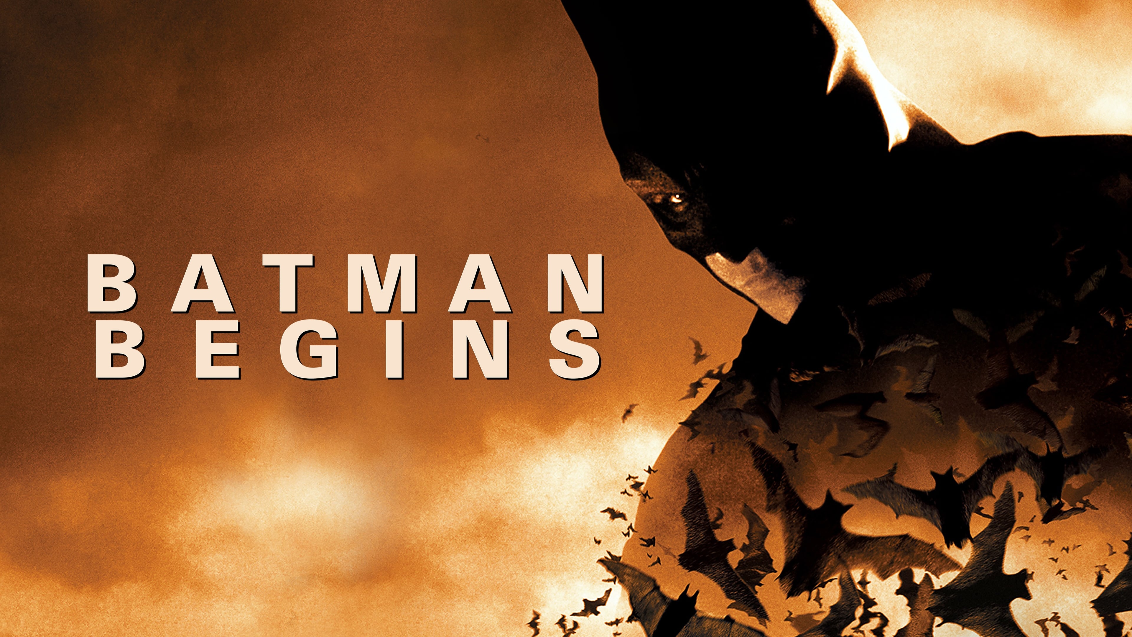 Batman Begins 4