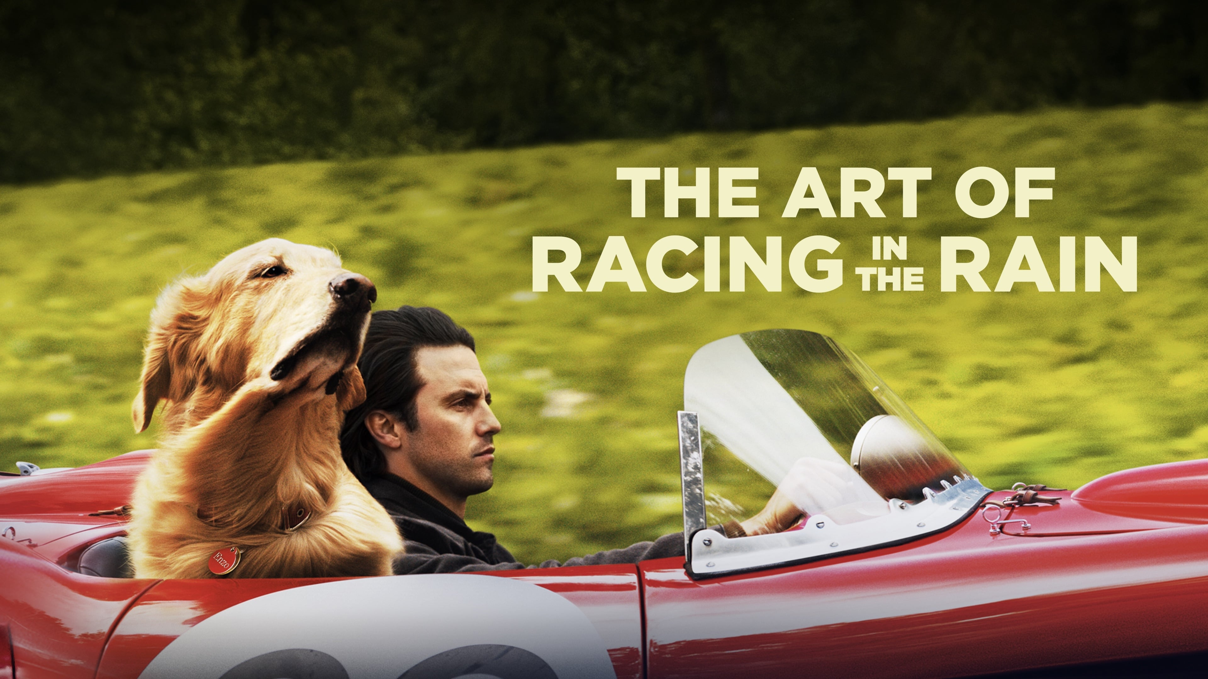 The Art of Racing in the Rain 3