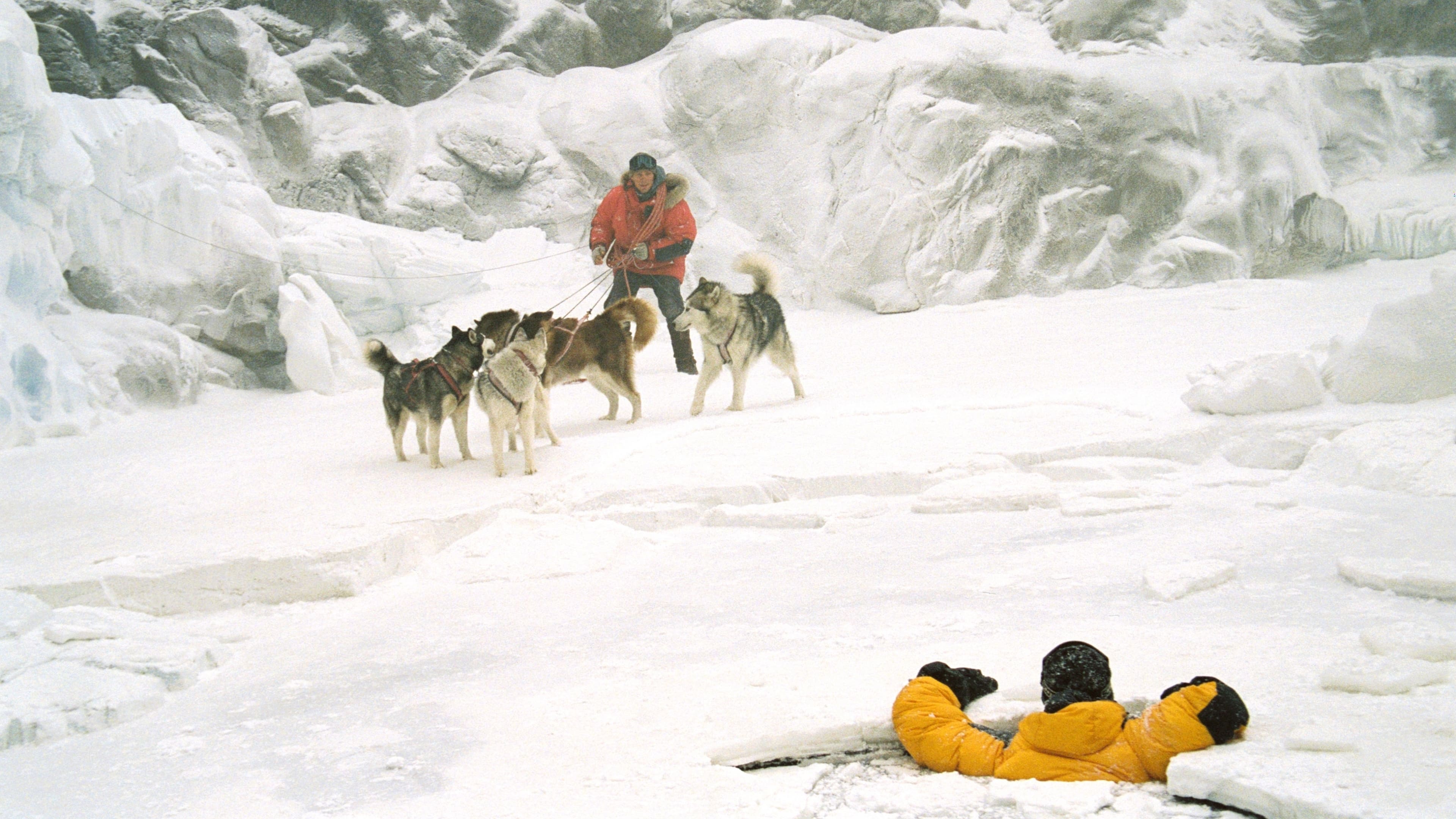 Antartica, prisonniers du froid 1