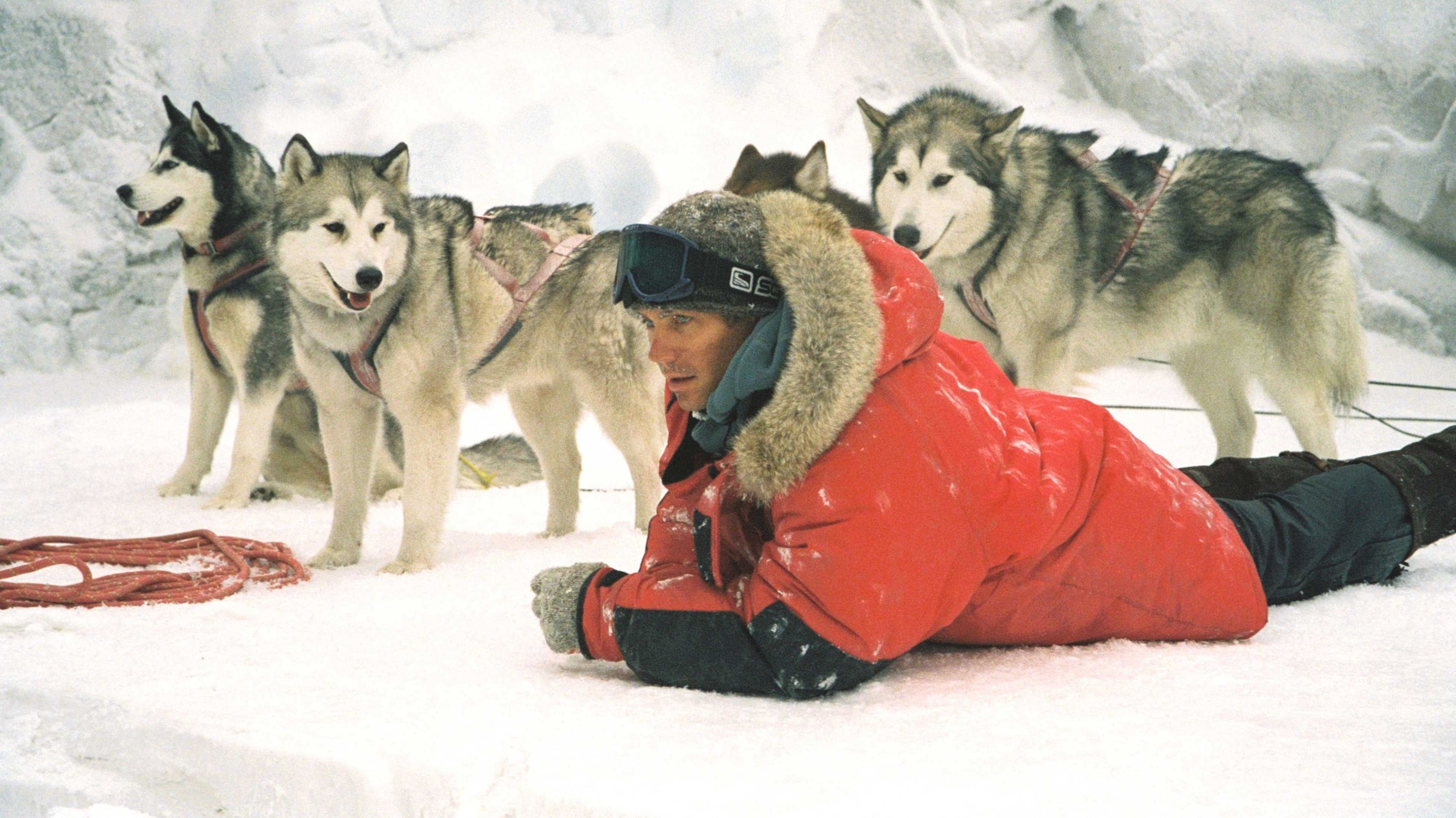 Antartica, prisonniers du froid 4