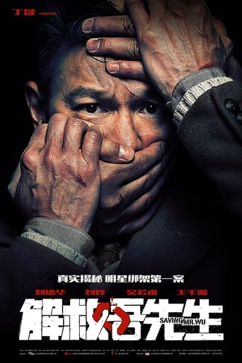 Mr. Wu, a Hong Kong movie star, is kidnapped in Beijing by Zhang Hua's gang. The police quickly form a task force and begin the search, ignoring that detectives in charge have only twenty hours before the deadline. (A story based on the famous kidnapping case of television actor Wu Rufou that took place in 2004.)