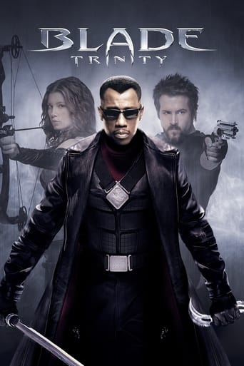 For years, Blade has fought against the vampires in the cover of the night. But now, after falling into the crosshairs of the FBI, he is forced out into the daylight, where he is driven to join forces with a clan of human vampire hunters he never knew existed—The Nightstalkers. Together with Abigail and Hannibal, two deftly trained Nightstalkers, Blade follows a trail of blood to the ancient creature that is also hunting him—the original vampire, Dracula.