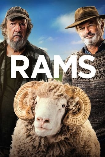 In remote Western Australia, two estranged farmer brothers, Colin and Les, are at war. But when Les' prize ram is diagnosed with a rare and lethal illness, authorities order a purge of every sheep in the valley—so the brothers must work together to reunite their family, save their herd, and bring their community back together.