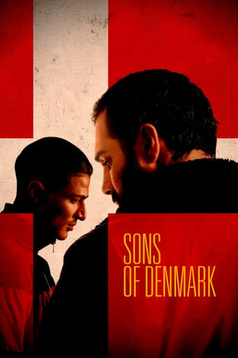 Denmark, in the near future. One year after a major bomb attack in Copenhagen, political radicalization has intensified and ethnic tensions are increasing. As next year's parliamentary elections approach, in which nationalist leader Martin Nordahl hopes for a landslide victory, Zakaria becomes involved in a radical organization, where he befriends Ali.