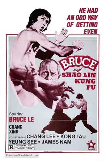 Japanese forces in Shanghai attempt to destroy the patriotic spirit of the Chinese by closing down all Kung Fu gyms. Chang Ling (Bruce Le), a top Chinese Kung Fu practitioner, is forced to flee to Korea. The Japanese forces pursue him there, and so Chang Ling fights back, defeating many Japanese fighters before finally encountering the Japanese commander.