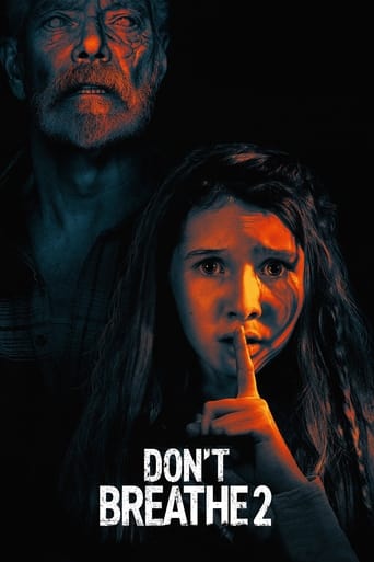 The Blind Man has been hiding out for several years in an isolated cabin and has taken in and raised a young girl orphaned from a devastating house fire. Their quiet life together is shattered when a group of criminals kidnap the girl, forcing the Blind Man to leave his safe haven to save her.